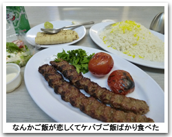 ケバブご飯